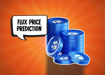 Flux Coin Prediction 2024