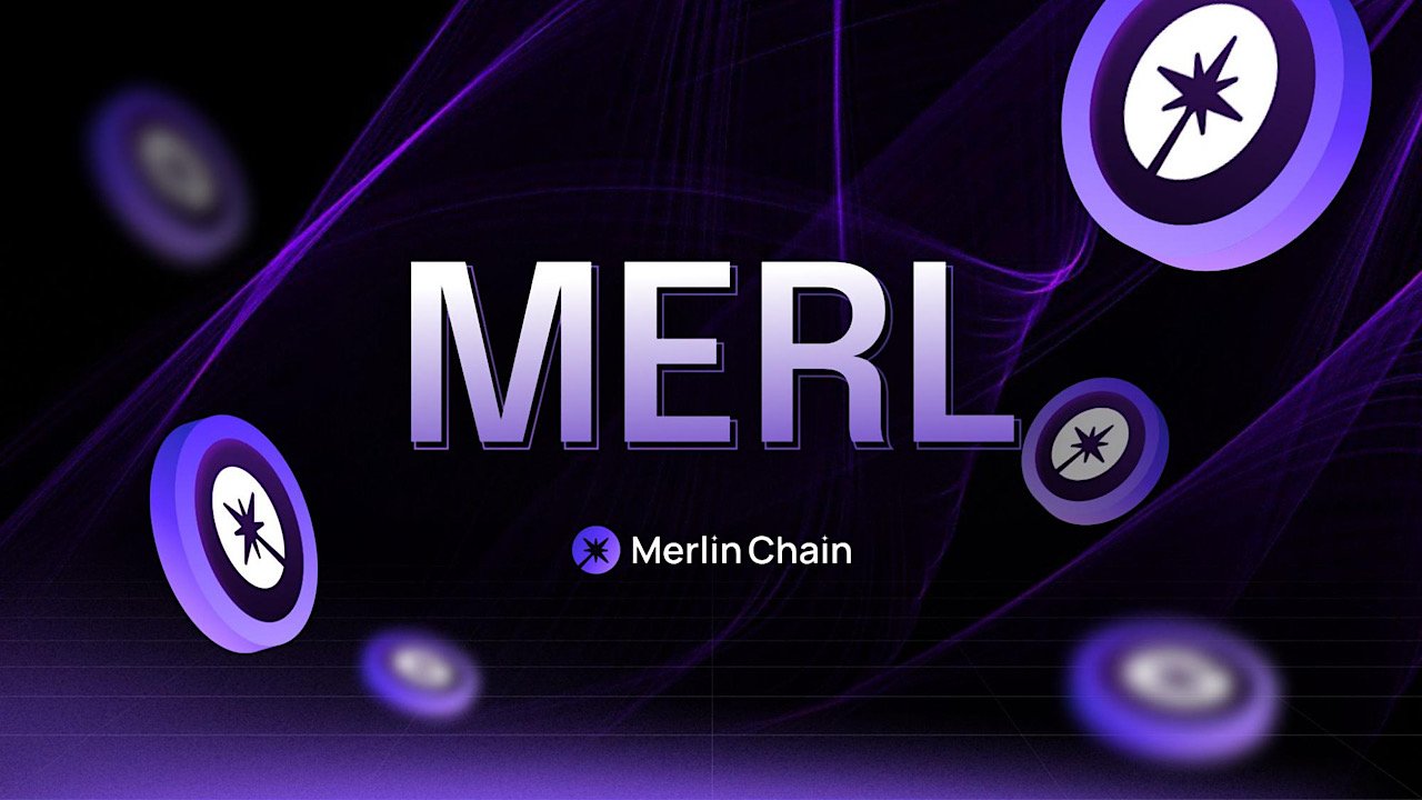 Polyhedra Network to Bridge with Merlin Chain