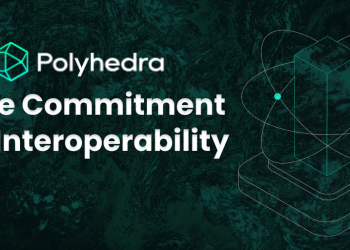 Polyhedra Network to Bridge with Merlin Chain