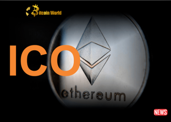 Ethereum ICO participant