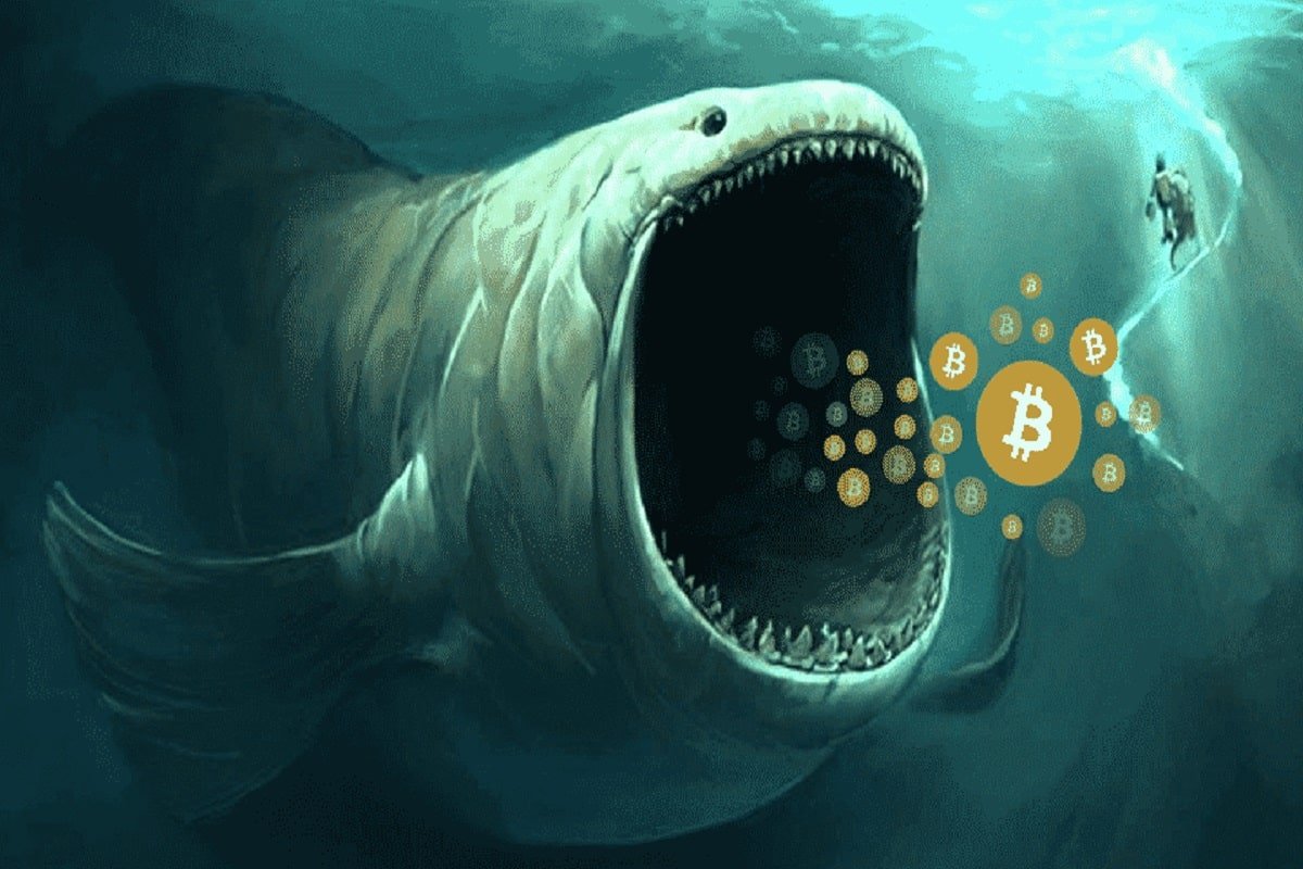 What's Driving the 7 Billion DOGE Move in a Day by Dogecoin (DOGE) Whales?