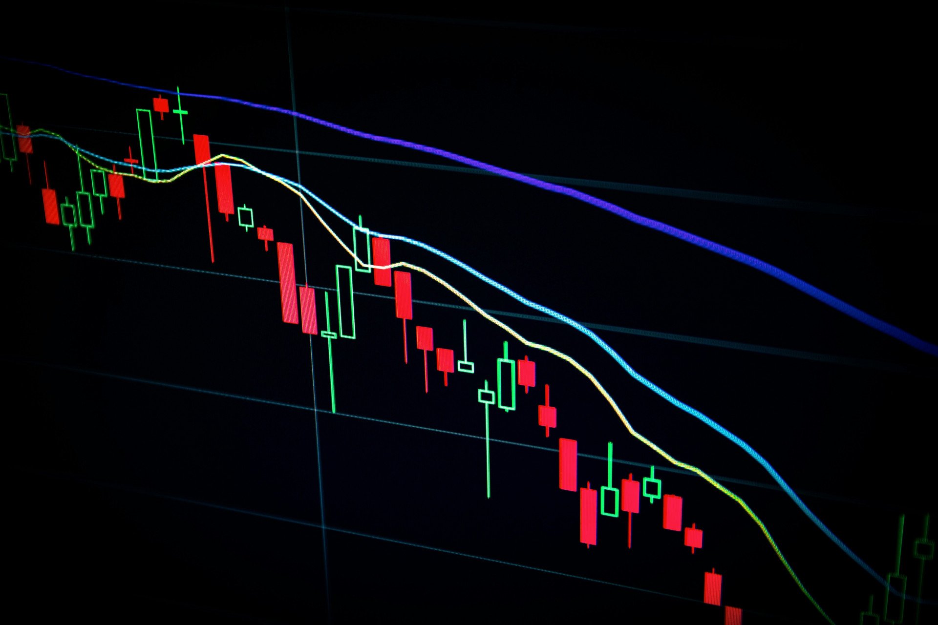 Breaking! Floki Exchange Listing on Bitstamp, What’s Next For The Memecoin?