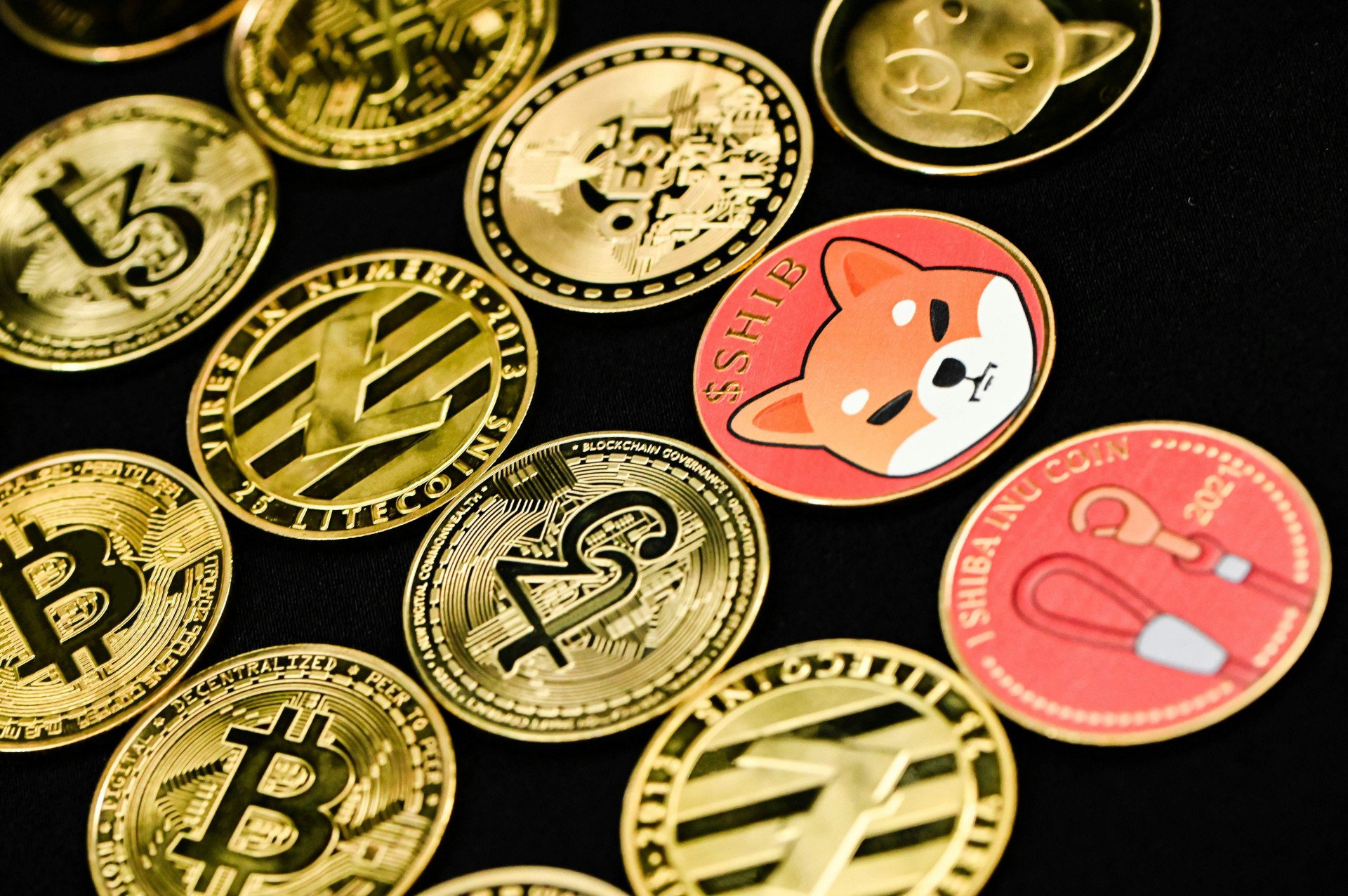 Dog Meme Coins Battle: Shiba Inu Loses Ground in Daily Trading Volume