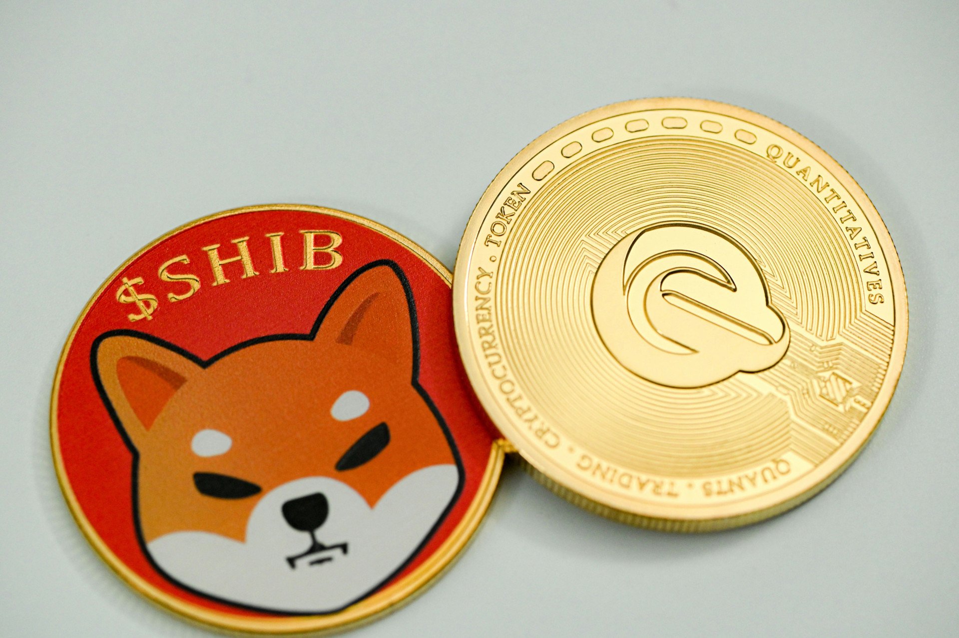 Shiba Inu Bulls Under Pressure? Experts Weigh In on SHIB’s Potential Plunge