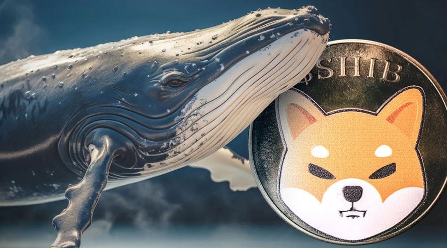 Crypto Whales Jump Ship As Shiba Inu Collapse