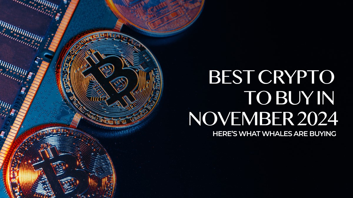 Most Promising Crypto Investments for November