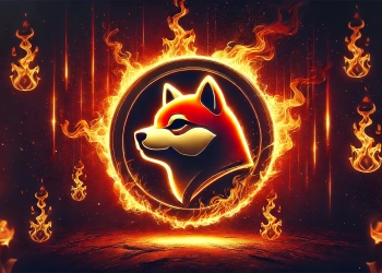 featuring the Shiba Inu cryptocurrency symbol with a fiery burning theme. The Shiba Inu dog emblem is surrounded by vibrant fla