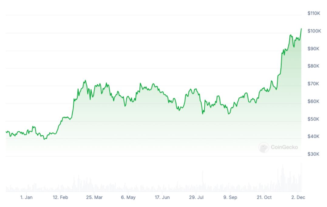 Bitcoin Year to Date Chart