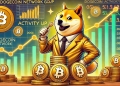 Dogecoin Network Goes Activity Up: Is It Enough to Send DOGE Higher?