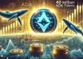 Cardano ADA and its recent whale activity. The image features a glowing Cardano logo with 40 million ADA