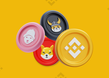 BTFD Coin Binance listeleme söylentileri