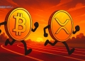 XRP vs Bitcoin
