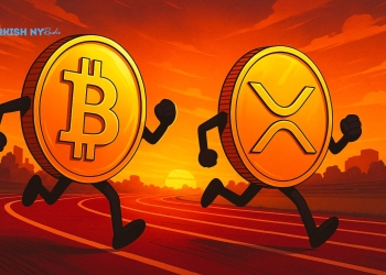 XRP vs Bitcoin